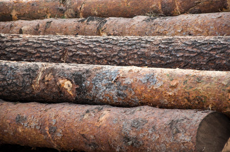 Timber-wood materials that retain their natural physical structure and chemical composition of...