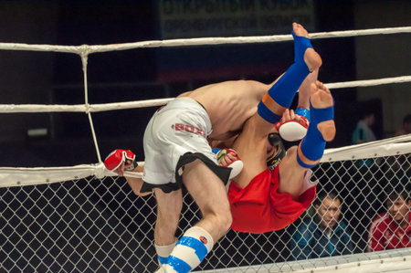 ORENBURG, ORENBURG region, RUSSIA - 21 February 2015: Fight in mixed martial arts fighters on the open cup of Orenburg region mixed martial art (MMA)のeditorial素材
