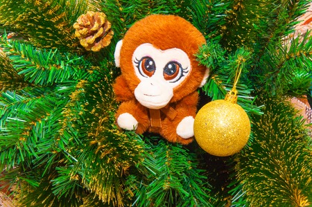 Happy new year! The Year Of The Monkey!の写真素材