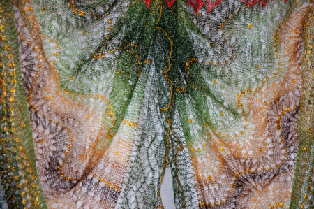 Patterns of the Orenburg downy shawl from delicate goat down