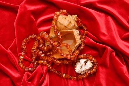 Beads of amber resin curing magical and coniferous treesの写真素材