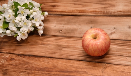 Still life with white Apple colour and Appleの写真素材