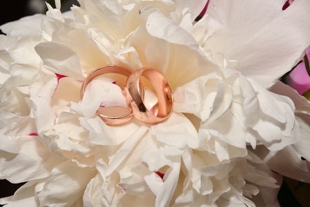 Two wedding rings for bride and groom and Peony flowerの写真素材