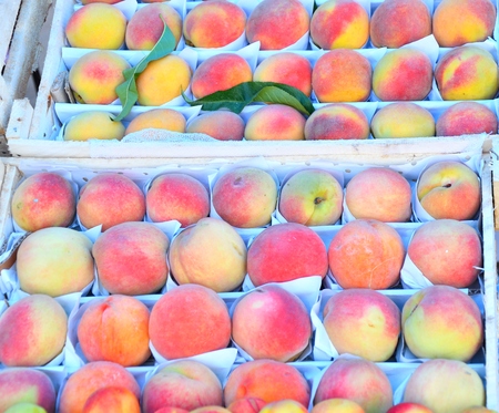 Fresh and ripe peaches are sold at the Bazaarの写真素材