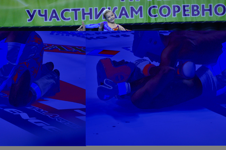 The Lizard Tupinambis in the terrarium (Tupinambis teguixin)のeditorial素材