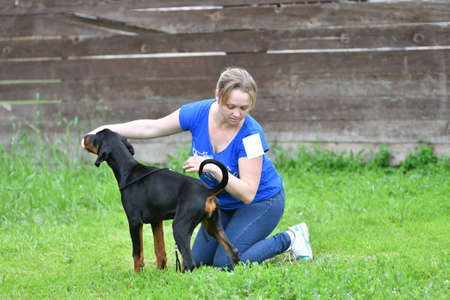 Orenburg, Russia - June 11, 2017: A girl is training a Dog of the Doberman breedのeditorial素材