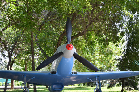Details Military fighter aircraft that was used during the Second World War