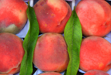 Ripe peaches of the new harvest are sold in the bazaar