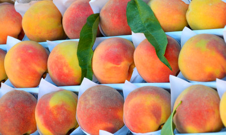 Ripe peaches (from Lat. Persicus) of the new harvest are sold at the bazaarの写真素材