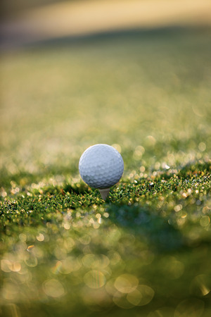 Golf ball in the golf course.の写真素材