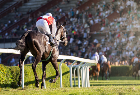 Horse races, jockey and his horse goes towards finish line. Traditional European sport.の写真素材