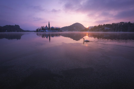 Scenery of Bled lake with church in the middle of the lake on the island during beautiful sunrise in winter. Panorama view on the nice scenery.の写真素材