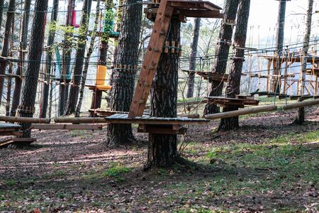 Ladder for an obstacle course in the forest. Extreme sport.の写真素材