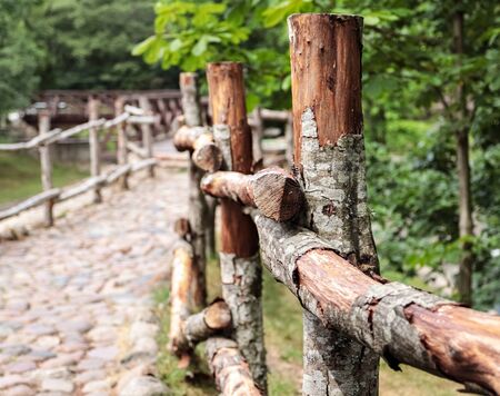 Wooden hedge of an old cobblestone road in a city park. Close-up.の写真素材