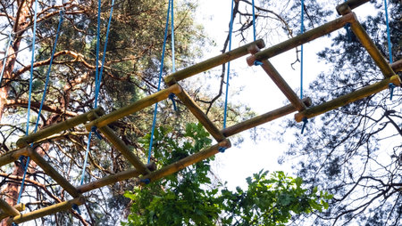 Part of an obstacle course in the forest. Extreme sport. Close-up.