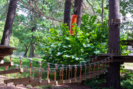 A bridge of logs tied to ropes, part of the rope route. Extreme sport.