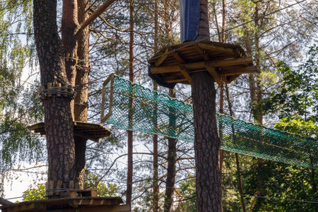 Part of an obstacle course in the forest. Extreme sport.