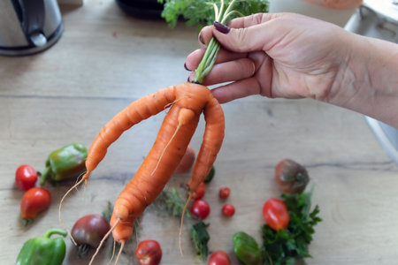 Whimsical carrot in a female hand on the background of the table.の写真素材