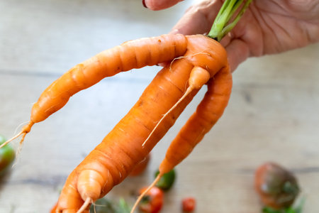 Whimsical carrot in a female hand on the background of the table.