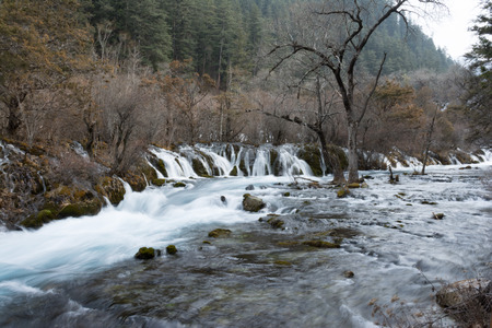 Waterfall in the forest.の写真素材