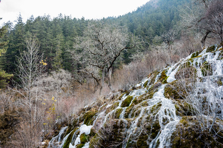 Waterfall in the forest. Frozen water drains over the rocks. The rock is covered with moss on which cold water flows.Rock in moss. The rock in the moss on which the water flows downの写真素材