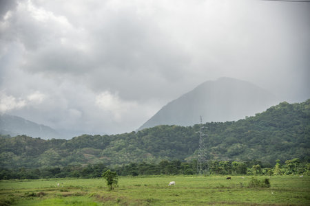 Beautiful landscape of a field in the background of a forest and mountains above a blue sky....