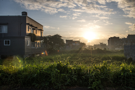 Sunrise in the city in a residential quarter. The rays of the sun on the green grass in the city. The sun shines through the cloudsの写真素材