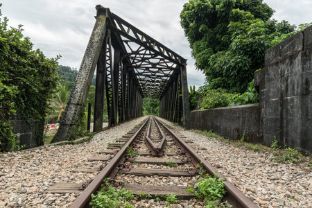 View along the railway. Old railroad across the bridge. The road for the train on the sides of the green vegetation and forestの写真素材