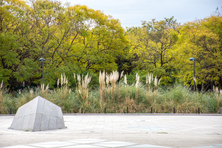 View of trees and thick grass from the sidewalk. Green vegetation of the city of Valencia, Spainの写真素材