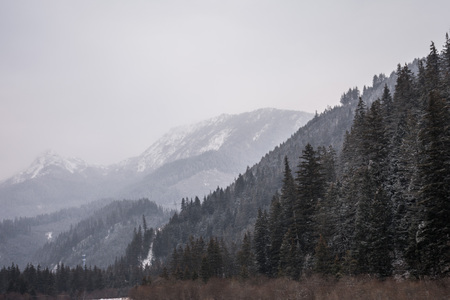 Mountains covered with snow. View of the mountain slopes covered with fir-trees. Mountains and forests on the sky backgroundの写真素材
