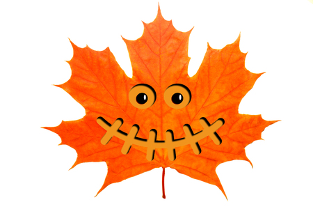 red maple leaf with Halloween faceの写真素材