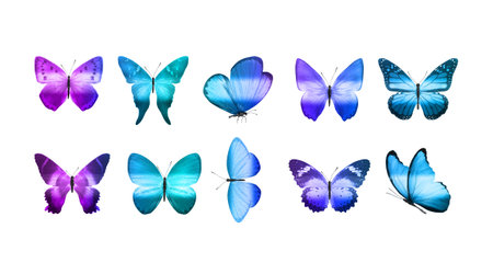 set of eight colored butterflies isolated on a white background. High quality photo