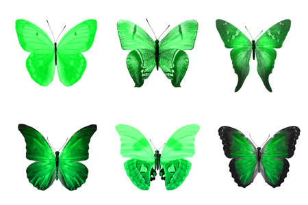 six color butterflies isolated on a white background. High quality photoの写真素材
