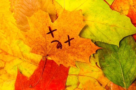 face on an autumn leaf lies on a pile of leavesの写真素材
