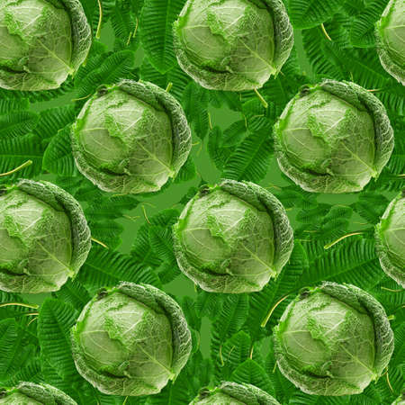 seamless pattern of green cabbage and green leaves.の写真素材