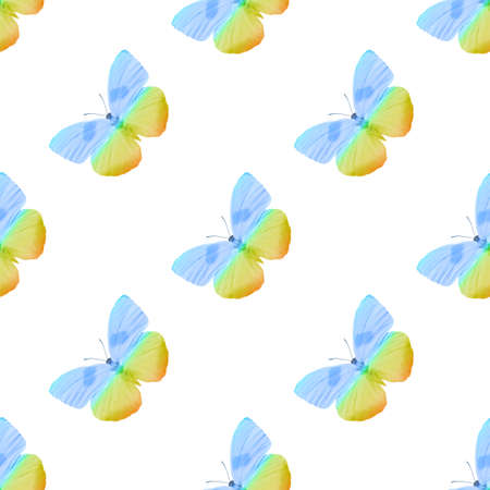 seamless pattern of colored butterflies isolated on whiteの写真素材