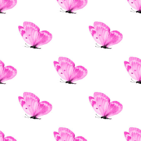 seamless pattern of colored butterflies isolated on whiteの写真素材