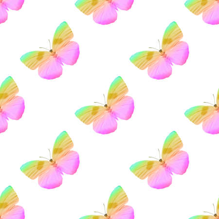 seamless pattern of colored butterflies isolated on whiteの写真素材