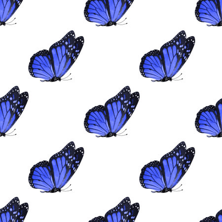 seamless pattern of colored butterflies isolated on whiteの写真素材