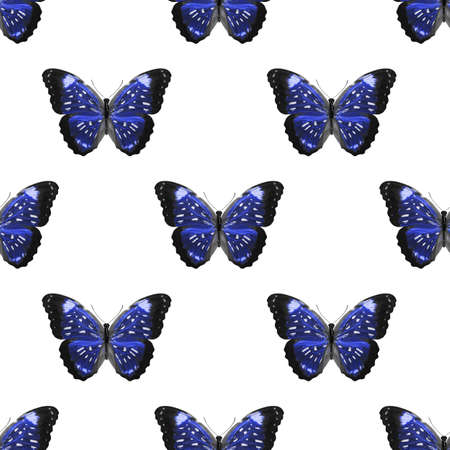 seamless pattern of colored butterflies isolated on whiteの写真素材
