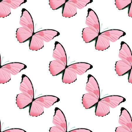 seamless pattern of colored butterflies isolated on whiteの写真素材
