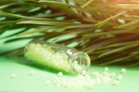 glass bottle with green granules and a pine branch.の写真素材