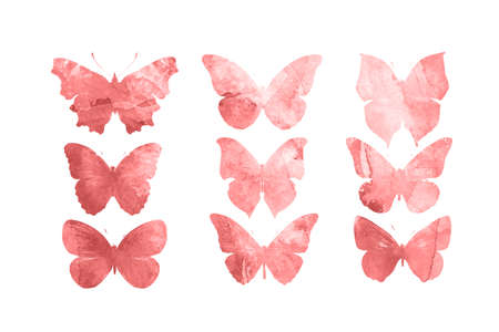 Red butterflies isolated on white background. tropical moths. insects for design.の写真素材