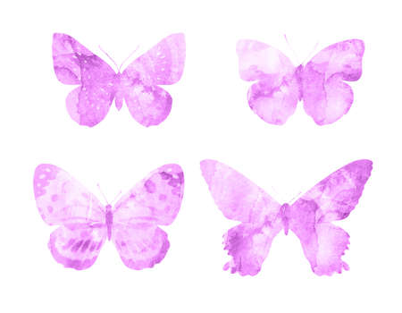 Pink butterflies isolated on white background. tropical moths. insects for design.の写真素材