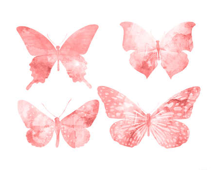 Red butterflies isolated on white background. tropical moths. insects for design.の写真素材