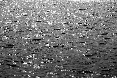 lake with ripples. black and white water surface texture. High quality photo