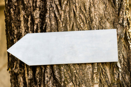 gray arrow on the trunk of a tree in nature. pointer in the park. High quality photo
