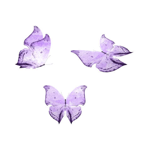 a set of beautiful pink butterflies isolated on a white background. tropical moths. flying insects for design. High quality photoの写真素材