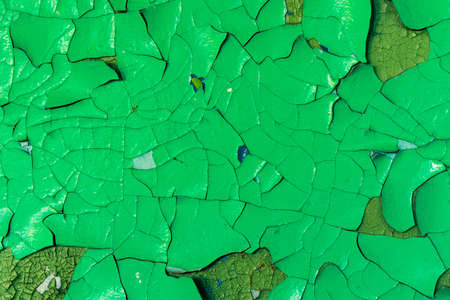 wall with green paint. background for design. grunge textureの写真素材