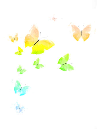 tropical flock of flying colored butterflies isolated on whiteの写真素材